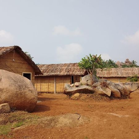 Monkey Paradise Hampi ハンピ エクステリア 写真