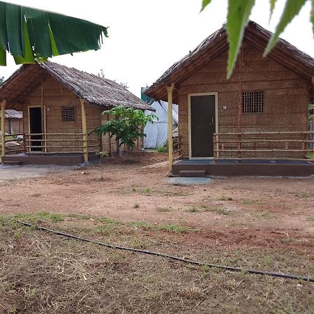 Monkey Paradise Hampi ハンピ エクステリア 写真
