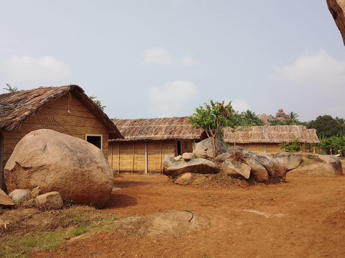 Monkey Paradise Hampi ハンピ エクステリア 写真