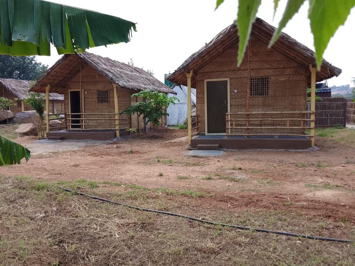 Monkey Paradise Hampi ハンピ エクステリア 写真