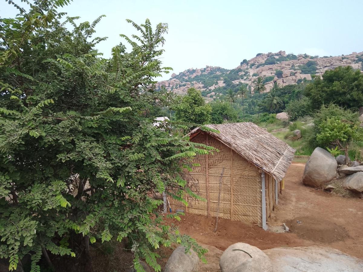 Monkey Paradise Hampi ハンピ エクステリア 写真
