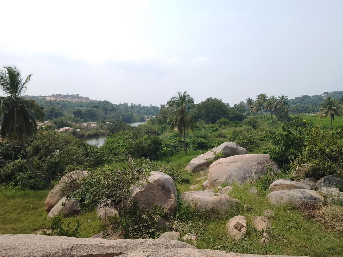 Monkey Paradise Hampi ハンピ エクステリア 写真