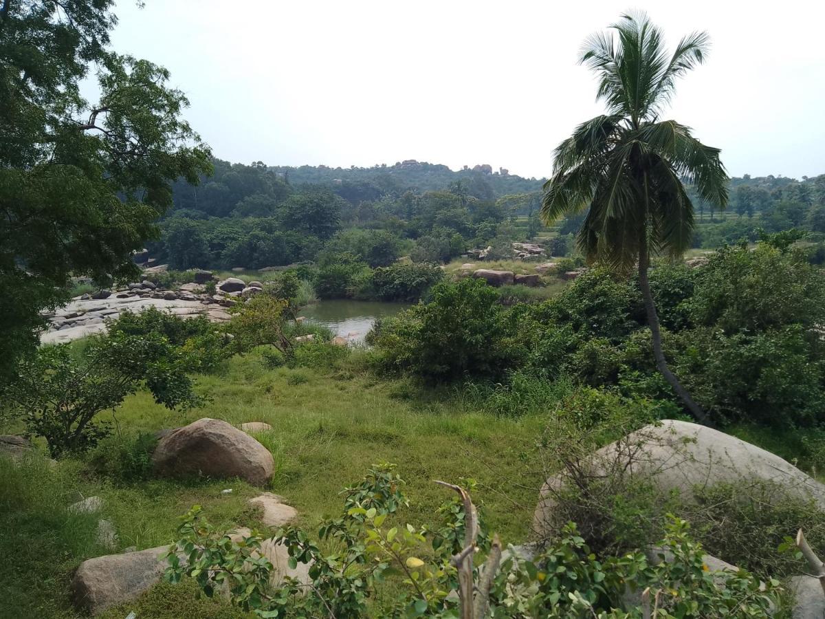 Monkey Paradise Hampi ハンピ エクステリア 写真