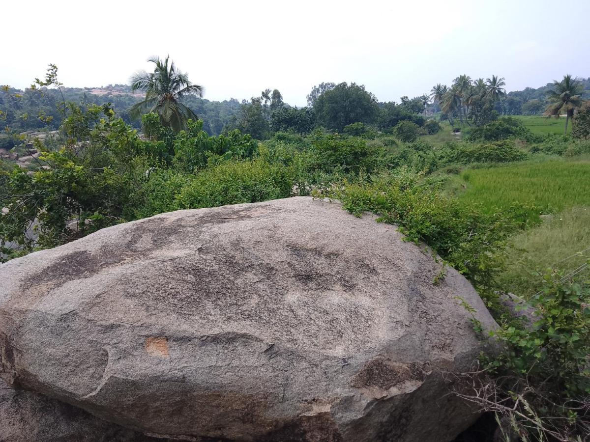 Monkey Paradise Hampi ハンピ エクステリア 写真