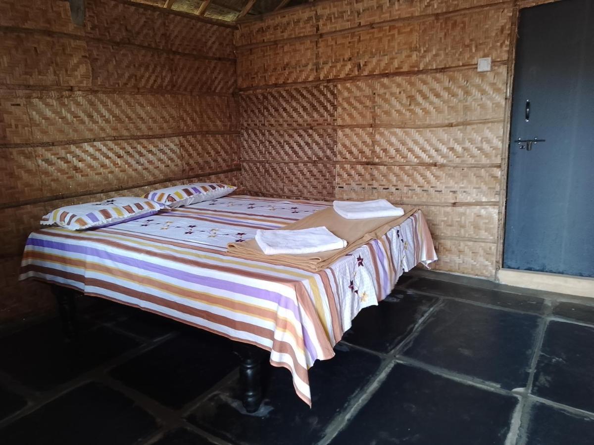 Monkey Paradise Hampi ハンピ エクステリア 写真