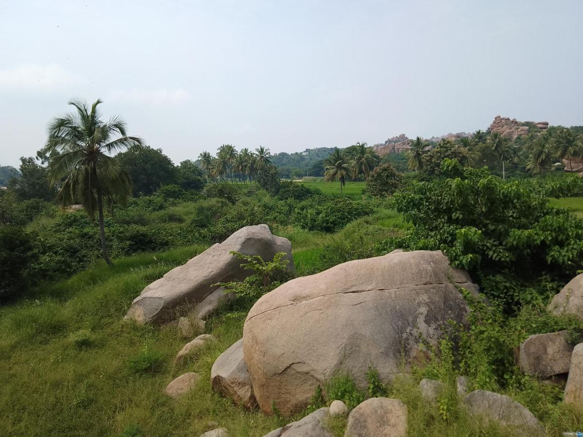 Monkey Paradise Hampi ハンピ エクステリア 写真