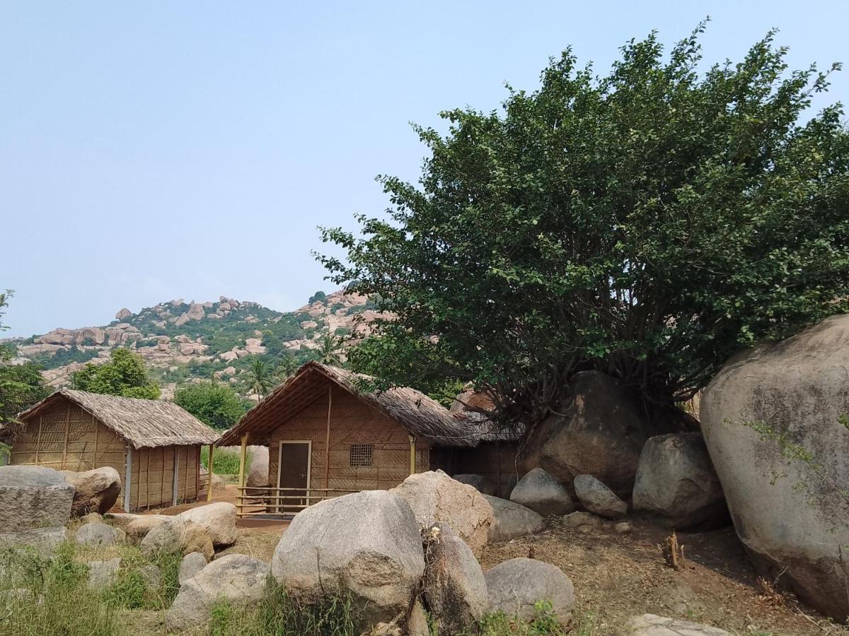 Monkey Paradise Hampi ハンピ エクステリア 写真