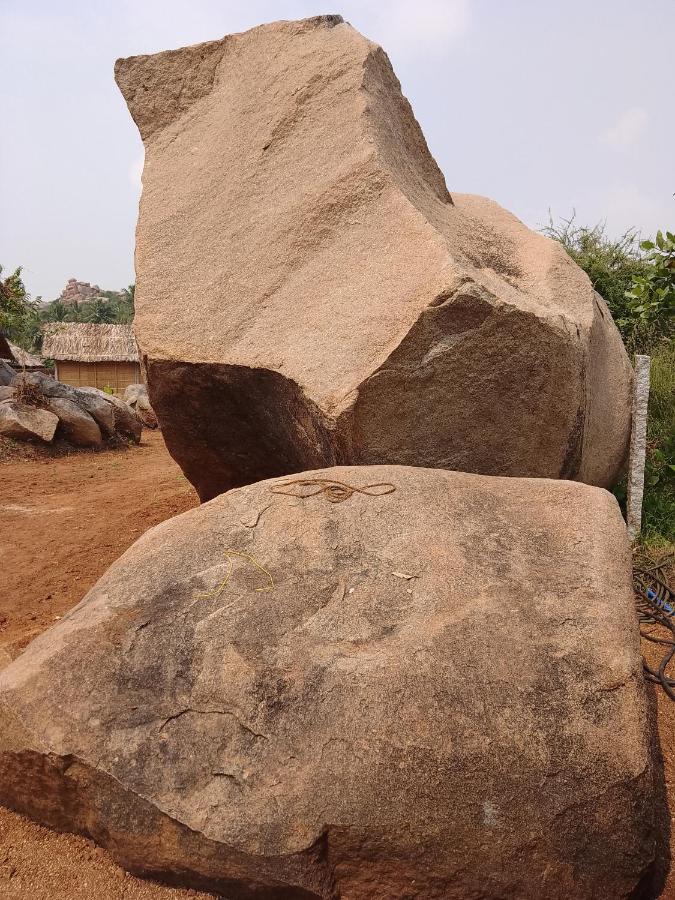 Monkey Paradise Hampi ハンピ エクステリア 写真