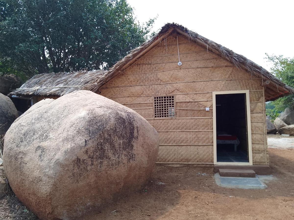 Monkey Paradise Hampi ハンピ エクステリア 写真