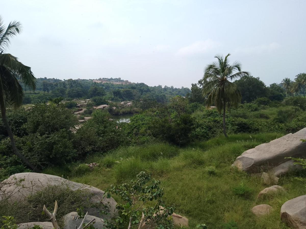 Monkey Paradise Hampi ハンピ エクステリア 写真