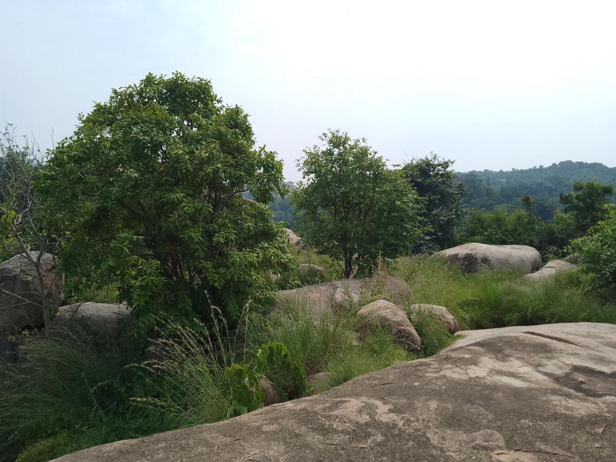 Monkey Paradise Hampi ハンピ エクステリア 写真