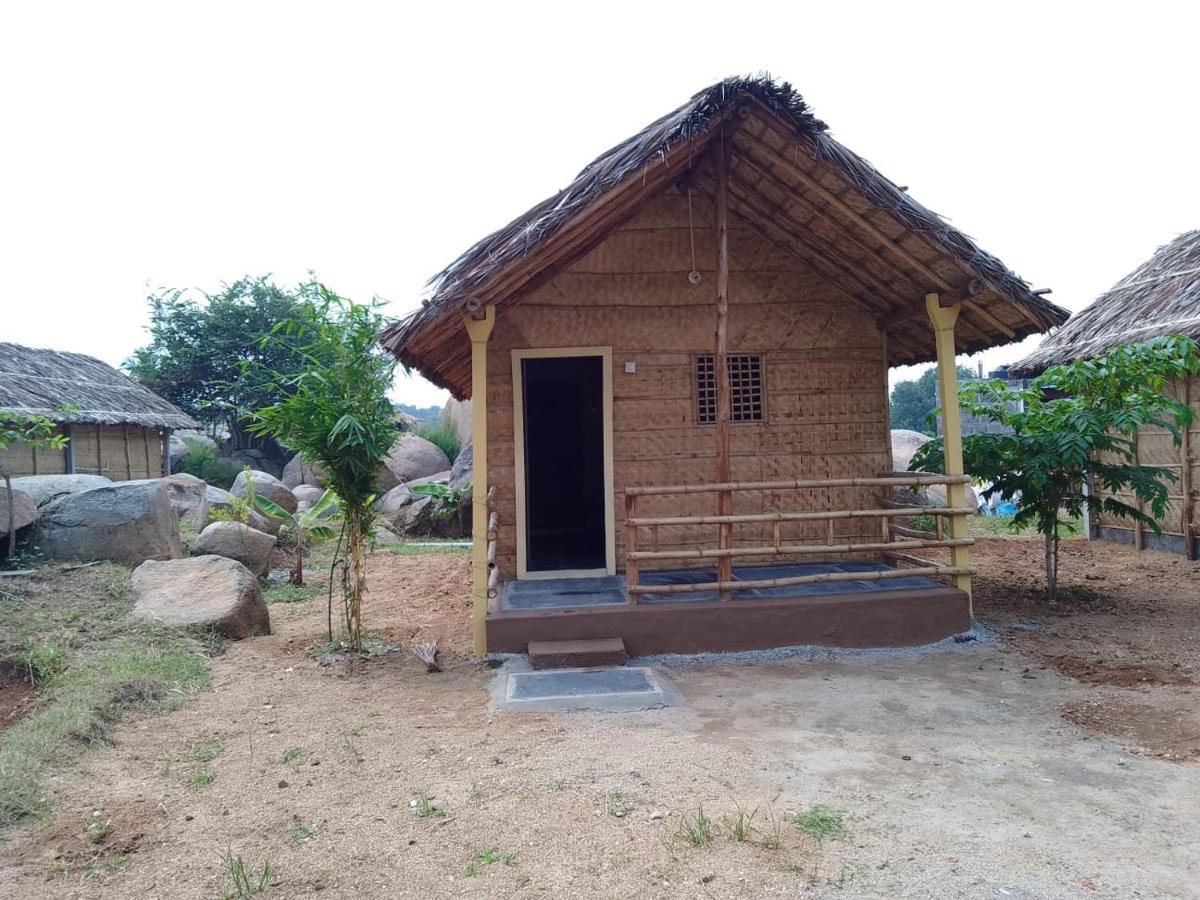 Monkey Paradise Hampi ハンピ エクステリア 写真