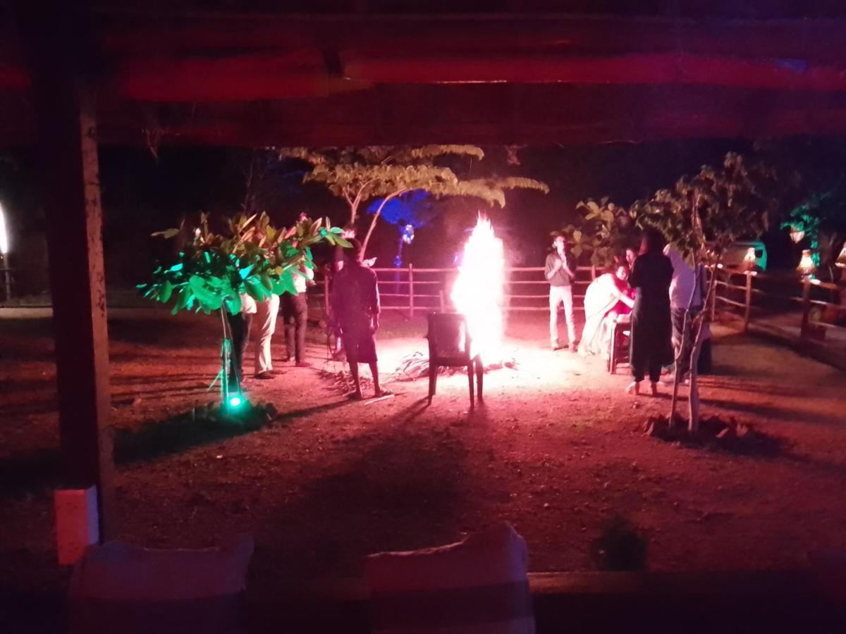 Monkey Paradise Hampi ハンピ エクステリア 写真